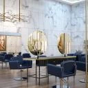 BLUESCHAIR, Friseurstuhl mit feststellbarer Hydraulikpumpe und PARROT