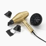 HAARTROCKNER GOLDFX Pro