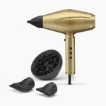 HAARTROCKNER GOLDFX Pro