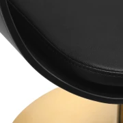 Coiffeurstuhl-Friseurstuhl MINIMALISTISCH1 gold