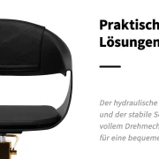 Coiffeurstuhl-Friseurstuhl MINIMALISTISCH1 gold