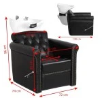 Coiffeur-Waschanlage Bern-Luxus