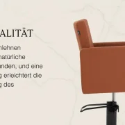 Coiffeur Friseurstuhl  Victoria