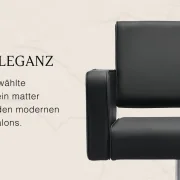 Coiffeur-Frsiseurstuhl ART ELEGANT 