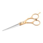 Haarschere Silver & Gold  6", Snippe