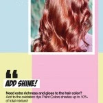 Online Seminar MOOD Paint Colors