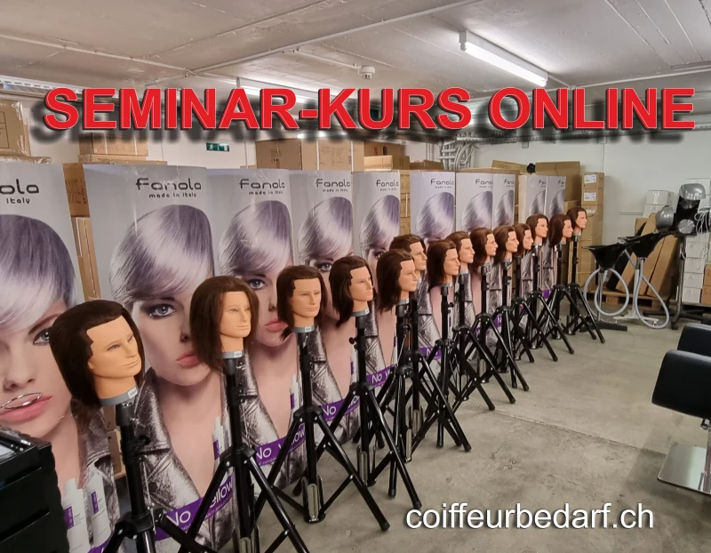 Online MOOD SEMINAR Haare färben – worauf Sie unbedingt achten sollten