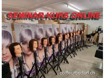 Online MOOD SEMINAR Haare färben – worauf Sie unbedingt achten sollten