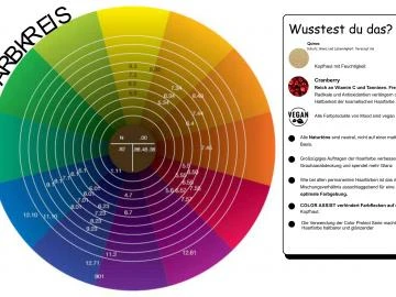 Online Video Schulung Haarfarbe Englisch