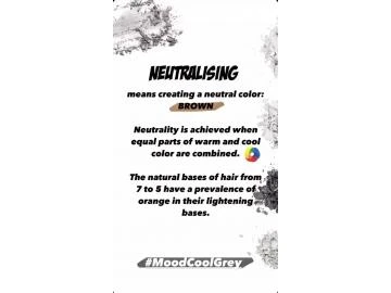 Online VIDEO, MOOD NEW INTENSE ASH SHADES ENG, www.coiffeurbedarf.ch
